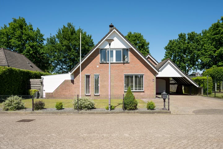 Zilverreiger 2 in Emmen foto