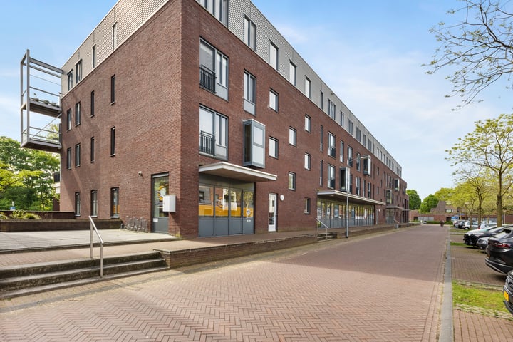 Zomertaling 95 in Wijchen foto