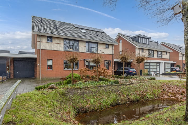 Zomervlinder 5 in Enschede foto