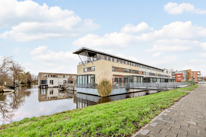 Zonnebaars 3 in Krommenie foto