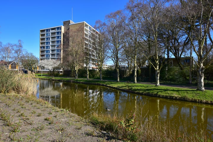 Zonnesteinhof 19 in Amstelveen foto