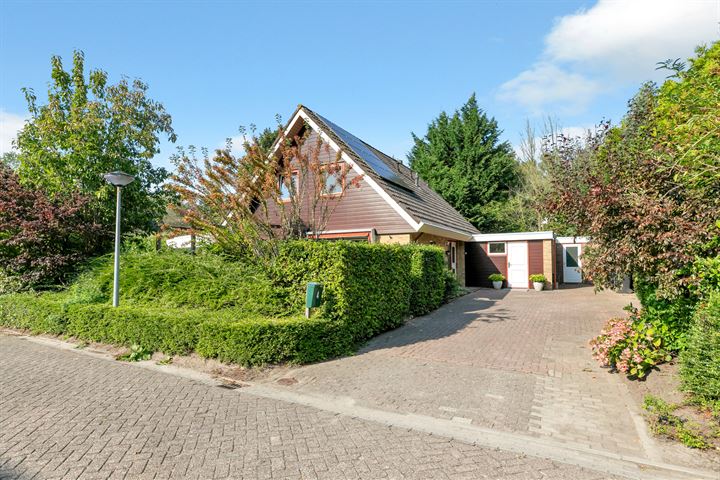 Zoom 13 4 in Lelystad foto