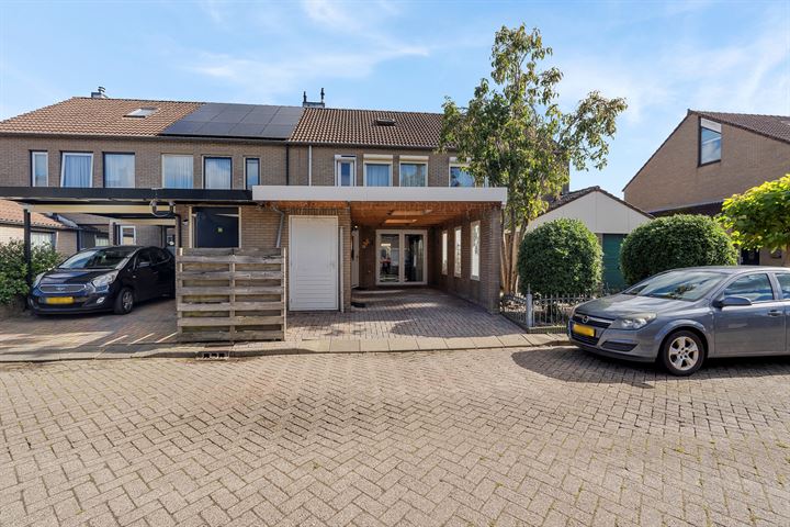 Zuring 97 in Klazienaveen foto