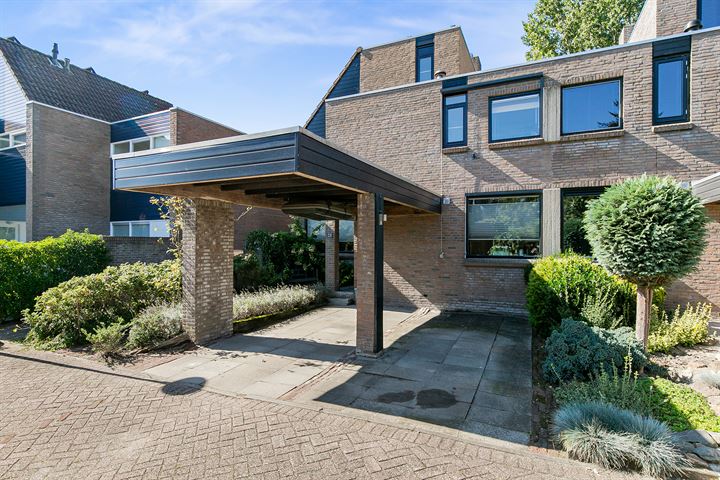 Zuurbes 25 in Rotterdam foto