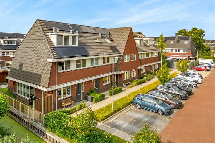 Zwaan 1 in Sassenheim foto