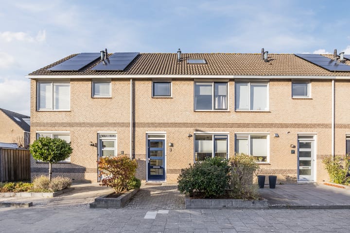 Zwaanhil 3 in Bergen op Zoom foto