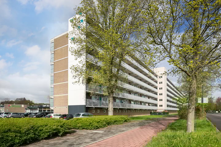 Zwaluwstraat 226 in Maassluis foto
