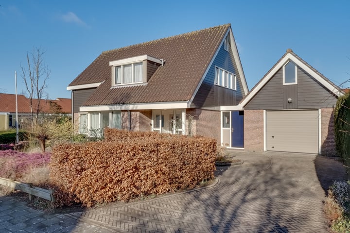 Zwanebloem 1 in Opmeer foto