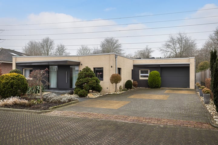 Zwanebloem 10 in Hoogeveen foto