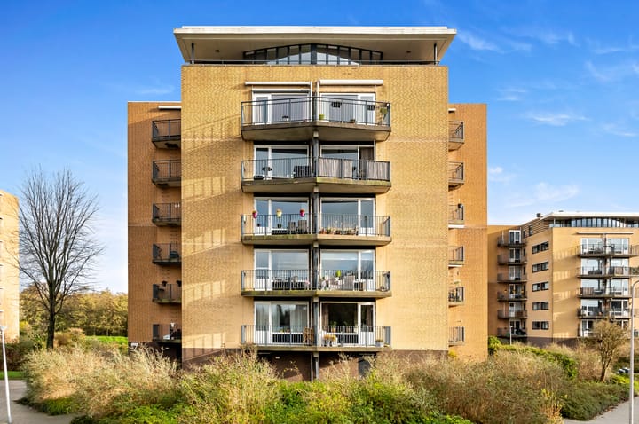 Zwanebloem 24 in Den Hoorn