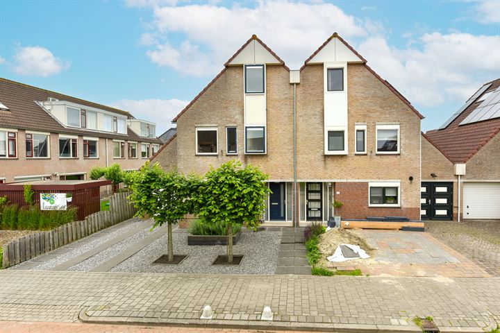 Zwanebloem 27 in Kockengen foto