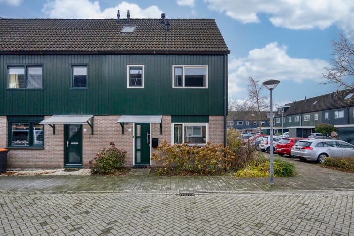 Zwanebloem 36 in Zwaag foto