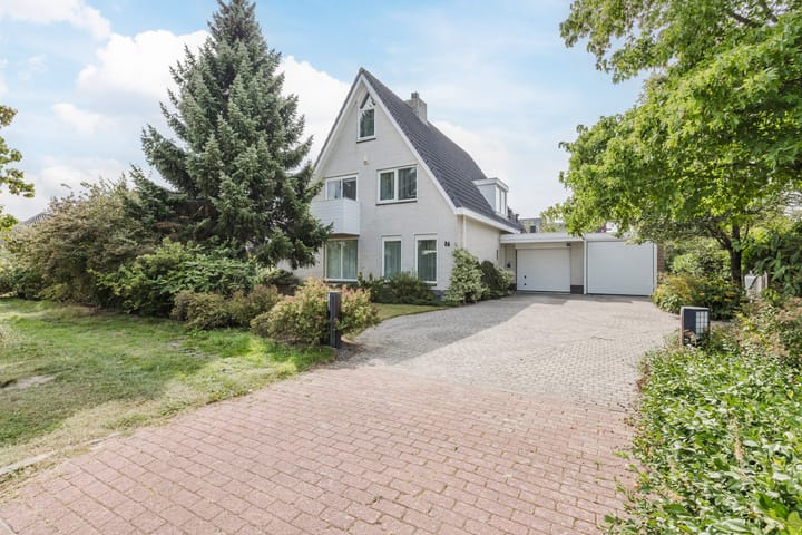 Zwarte Dolfijn 26 in Heerhugowaard foto