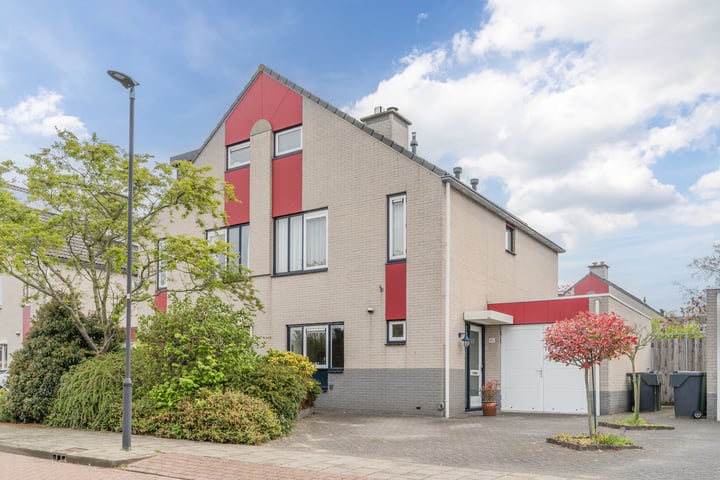 Zwarte Dolfijn 45 in Heerhugowaard foto