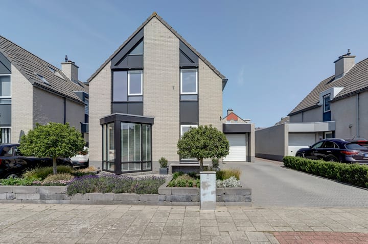 Zwarte Dolfijn 65 in Heerhugowaard foto