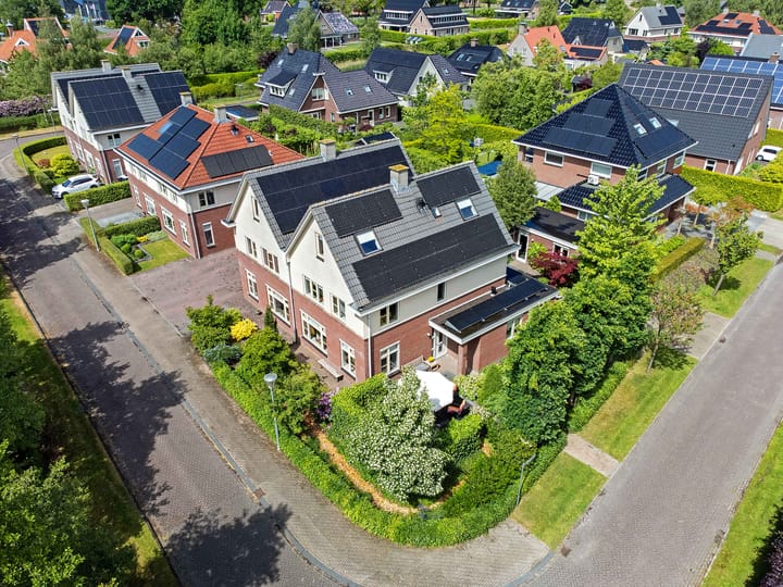 Zwarte Els 12 in Leek