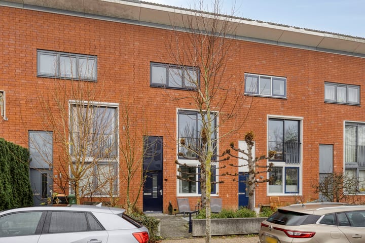 Zwarte Specht 66 in Zeewolde