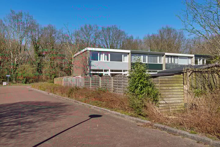 Zwartewater 31 in Lelystad foto