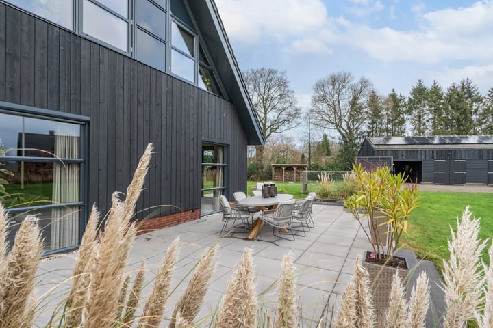 Zwartkoorten 1 in Zwiggelte foto