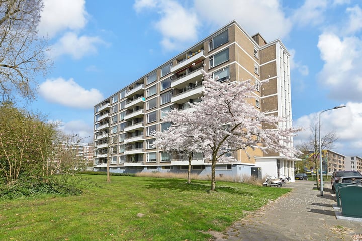 Zwedenburg 366 in 's-Gravenhage foto