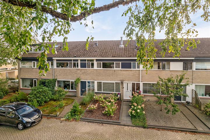 Zwemmer 79 in Drachten foto
