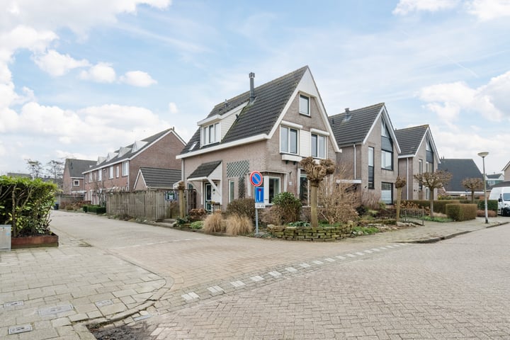Zwenkgras 31 in Bodegraven foto