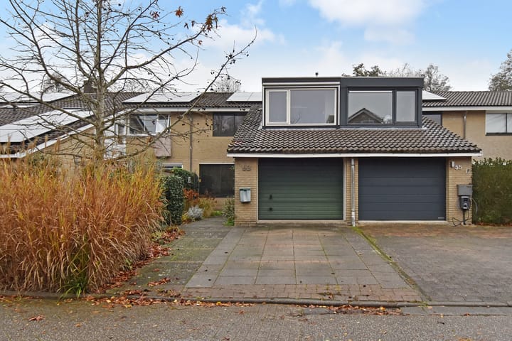 Zwenkgras 53 in Gouda foto