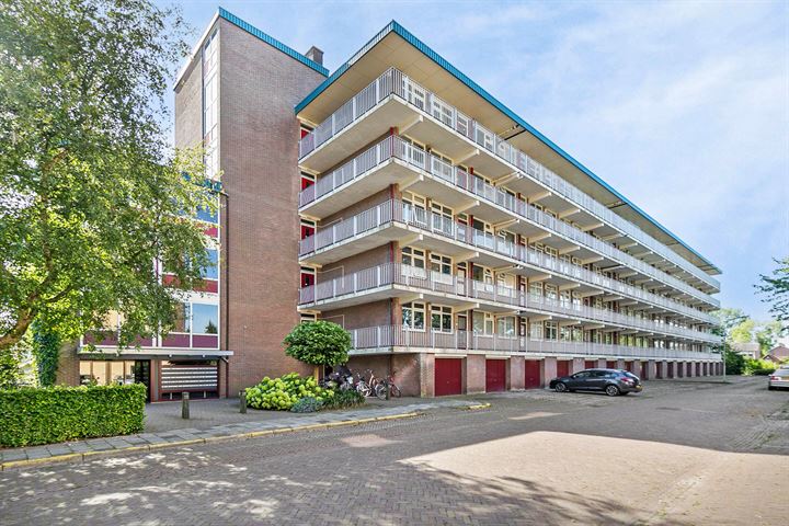 Zwin 91 in Assen foto